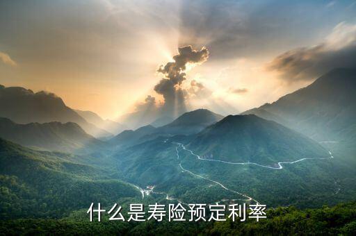 什么是預(yù)定利率，什么是壽險預(yù)定利率