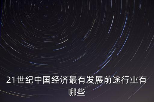 21世紀中國經濟最有發(fā)展前途行業(yè)有哪些