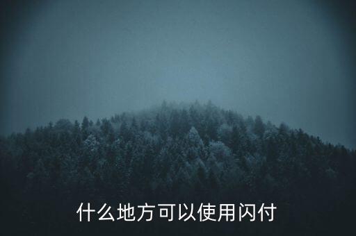 濟南什么地方支持閃付，濟南那個超市pos機有閃付