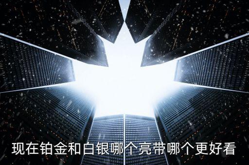 什么白銀最亮，哪種銀子最好