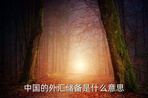 中國外匯儲備包括什么，我國外匯儲備
