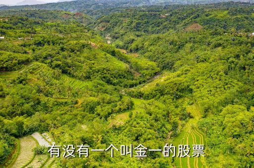 金一文化為什么停牌，金一文化什么時(shí)候復(fù)牌