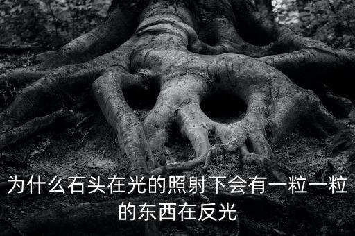 中金星石為什么這么差，為什么石頭在光的照射下會有一粒一粒的東西在反光