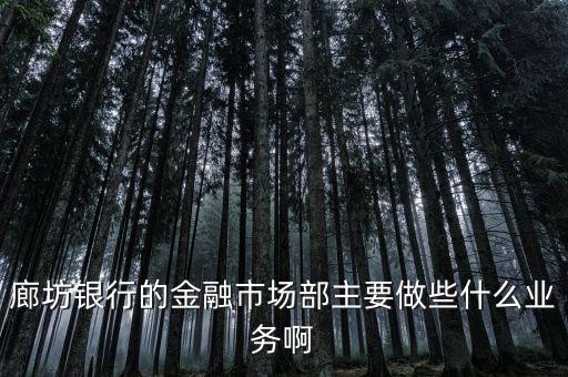 齊飛金融主營(yíng)什么業(yè)務(wù)，堅(jiān)固金融都有什么業(yè)務(wù)實(shí)力怎么樣