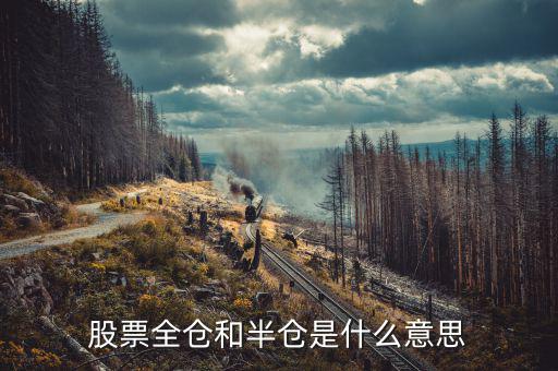 股票全倉是什么意思，股票全倉和半倉是什么意思