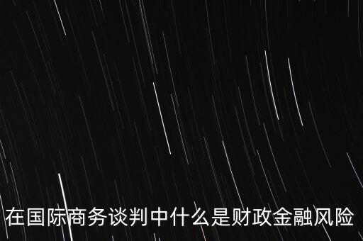 在國際商務(wù)談判中什么是財政金融風險