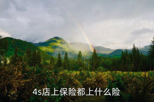 4s店買(mǎi)車(chē)都保什么險(xiǎn)，誰(shuí)能告訴我在4s店買(mǎi)的四大險(xiǎn)都包括哪些