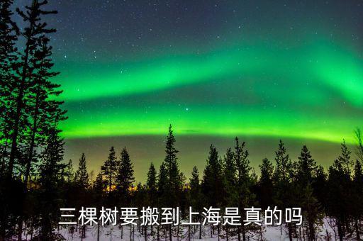 三棵樹什么時間上市，三棵樹要搬到上海是真的嗎