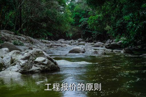 報價的基本原則是什么，投標(biāo)人自主決定報價應(yīng)該遵循什么原則
