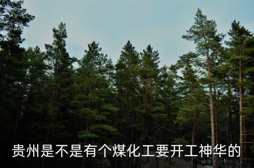 深圳尚榮在貴州有什么項(xiàng)目，深圳市尚榮醫(yī)療股份有限公司的介紹