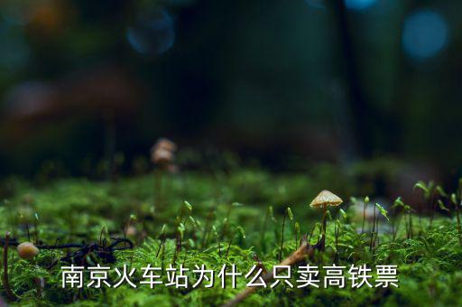 中國(guó)高鐵為什么要賣，為什么德州扒雞無(wú)論哪條高鐵線路的列車上都在售賣