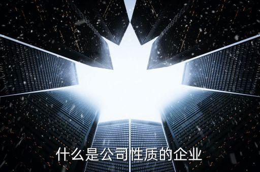 中期集團是什么性質(zhì)的企業(yè)，集團是什么性質(zhì)的公司