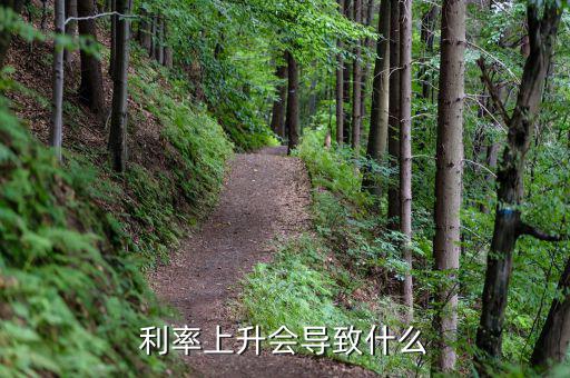 世界利率上升國內(nèi)利率有什么變化，利率上調(diào)對(duì)中國經(jīng)濟(jì)的影響