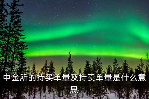 持買單量是什么意思，持賣單什么意思