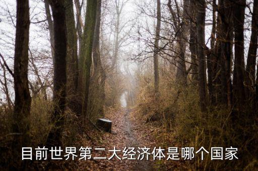 中國(guó)什么時(shí)候成為第二大經(jīng)濟(jì)體，中國(guó)成為世界第二大經(jīng)濟(jì)體是什么時(shí)候