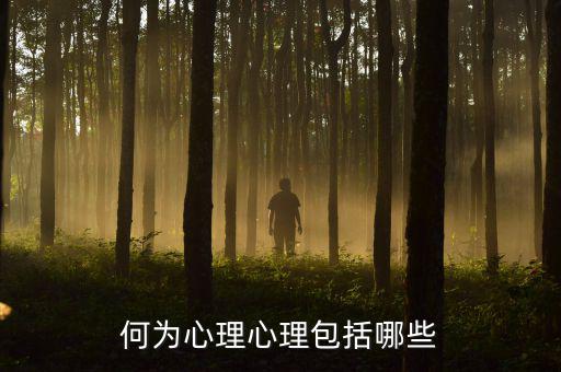 什么是心理層面，人的心理境界分幾個層次