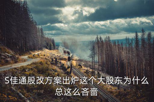 s佳通為什么不股改，s佳通的流通股這么少為什么不股改全流通