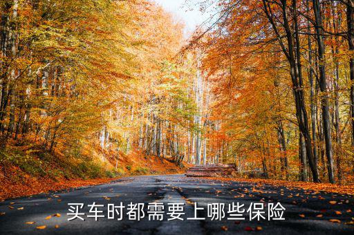 買(mǎi)車時(shí)都需要上哪些保險(xiǎn)
