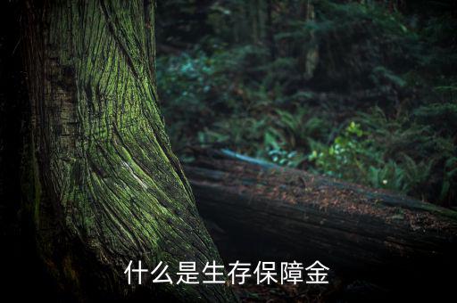 什么是生存保險(xiǎn)金，什么是生存保障金