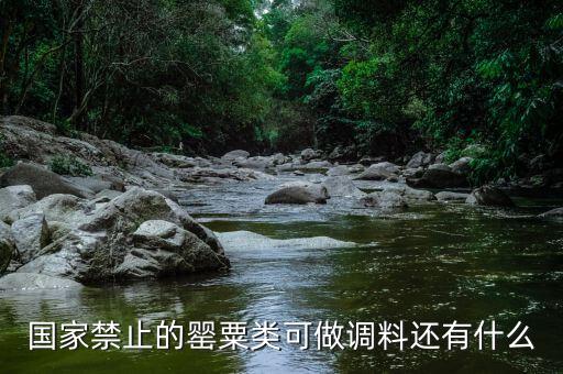 國家違禁香料有什么，國家禁止的罌粟類可做調(diào)料還有什么
