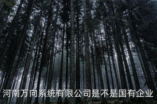萬向集團是什么企業(yè)，萬向集團公司是哪一家公司設(shè)計的