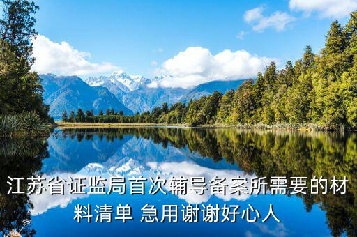 輔導(dǎo)備案登記受理是什么階段，我想問一下辦一般納稅人申請(qǐng)后我們的輔導(dǎo)期是當(dāng)月 15小