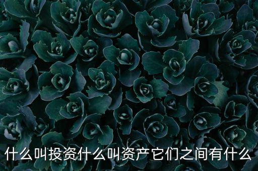 什么叫可投資資產(chǎn)，什么叫個人可投資資產(chǎn)懂的答有分送呦