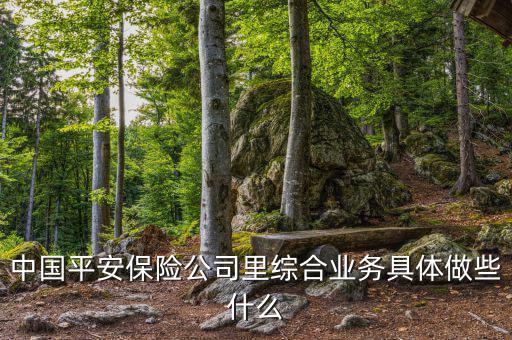 中國平安做什么的，中國平安是干什么的