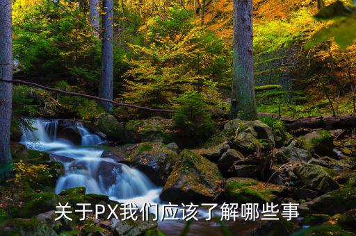 px項目是干什么的，關于PX我們應該了解哪些事