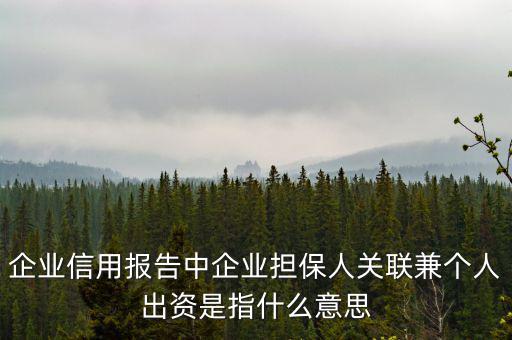 擔保人關聯是什么意思，企業(yè)征信中 擔保人關聯是什么意思