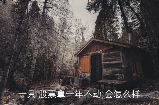 一只 股票拿一年不動(dòng),會怎么樣