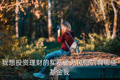 買什么基金是沒(méi)有風(fēng)險(xiǎn)，什么樣的基金沒(méi)有太大的風(fēng)險(xiǎn)