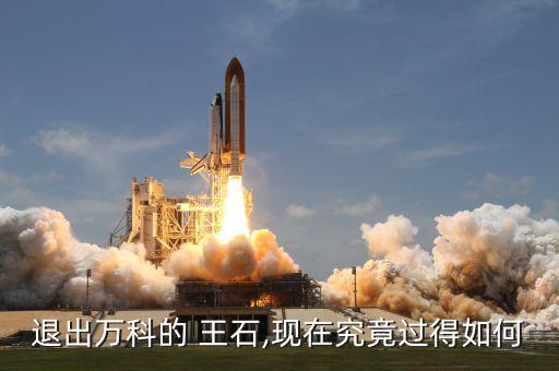 王石現(xiàn)在怎么樣,王瑞杰:等我成功，萬科就不需要王石