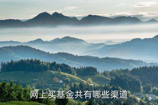 網(wǎng)上買(mǎi)基金共有哪些渠道