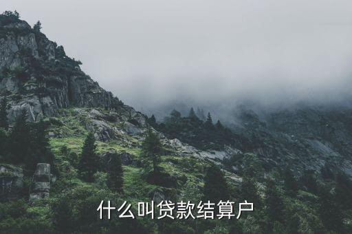 什么是有貸戶(hù)，什么叫居民戶(hù)貸款
