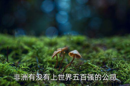 非洲有沒有上世界五百強(qiáng)的公司