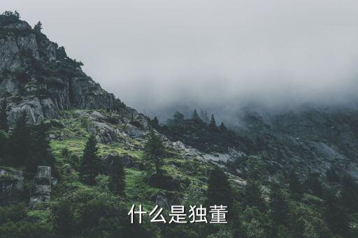 什么是官員獨(dú)董，懂事和獨(dú)立董事有什么區(qū)別都起有什么作用