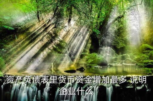 貨幣資金增加說(shuō)明什么，資產(chǎn)負(fù)債表里貨幣資金增加最多 說(shuō)明企業(yè)什么