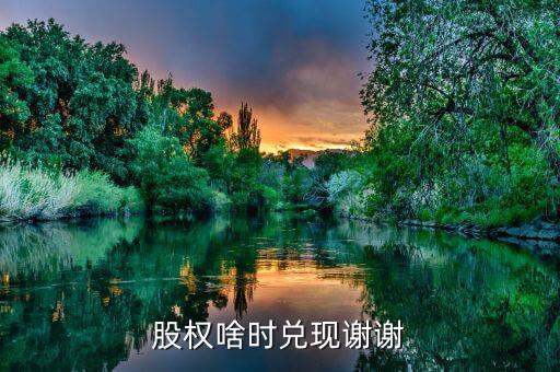 荃銀高科股權什么時候兌現(xiàn)，股權啥時兌現(xiàn)謝謝