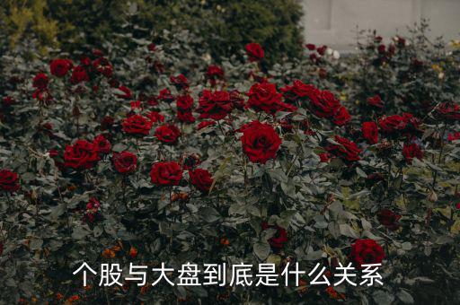 個(gè)股與大盤(pán)到底是什么關(guān)系