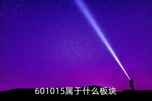 中達(dá)股份屬于什么板塊，000718股票屬于什么板塊