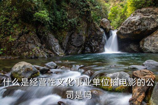 什么是經(jīng)營(yíng)性事業(yè)單位，哪些屬于經(jīng)營(yíng)性文化事業(yè)單位