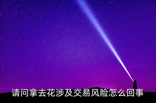 拿去花為什么風(fēng)控了，為什么我的拿去花現(xiàn)在不能用閃住服務(wù)了