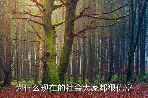 為什么大家都仇富，為什么現(xiàn)在的社會(huì)大家都狠仇富