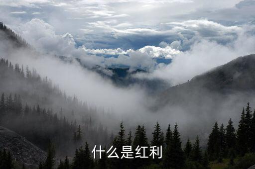 什么是全球化紅利，紅利是指什么意思