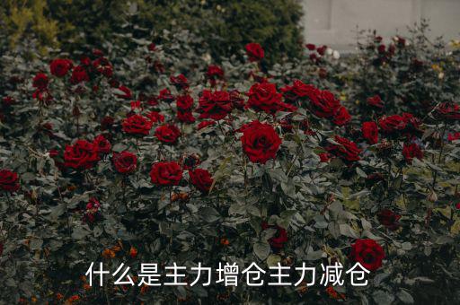 主力增減倉什么意思，什么是主力增倉主力減倉