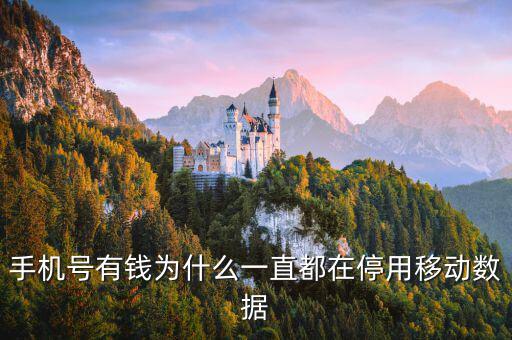 鏈動數(shù)據(jù)為什么有錢，廣東鏈動為什么那么多人認(rèn)同和喜歡