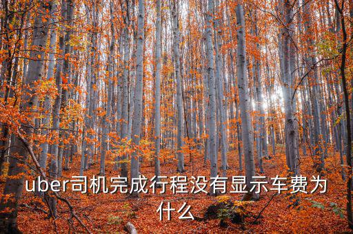 uber為什么不顯示價(jià)格，優(yōu)步叫車前看不到價(jià)格