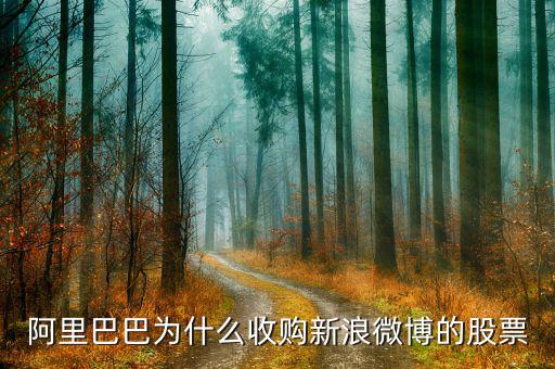 新浪微博為什么在盈利后才上市，新浪微博為何上市