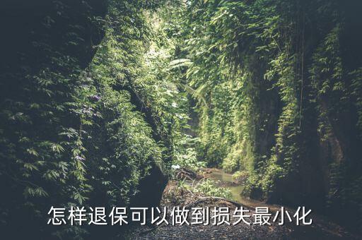 什么辦法能退保險(xiǎn)不損失，退保怎樣能減少損失